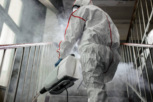 Biohazard Mold Removal